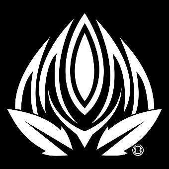 Peak Maine (Tax included!)-logo